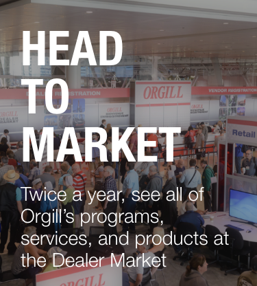 The Dealer Market Advantage Banner